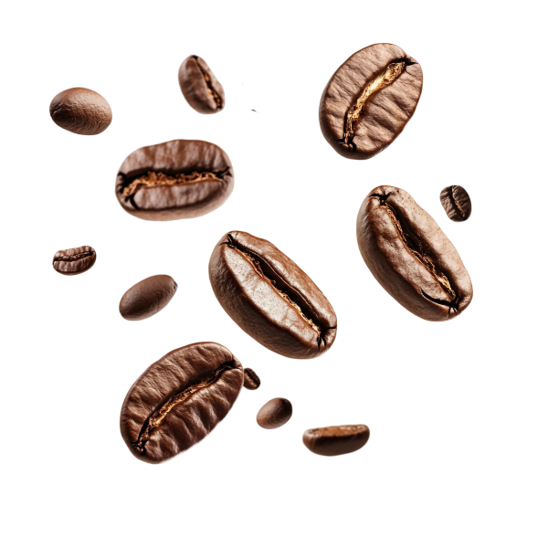 coffee beans