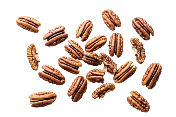 tasty-pecan